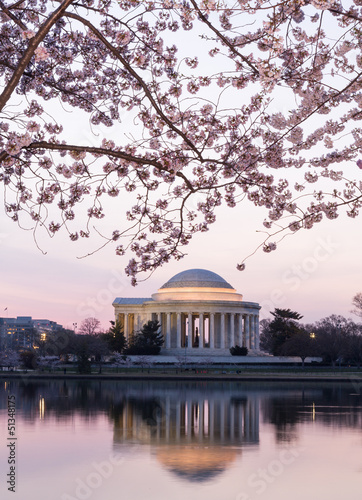 Cherry Blossom and Jefferson Memorial at sunrise