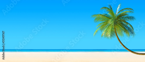 3d render of Tropical beach panorama with palm tree