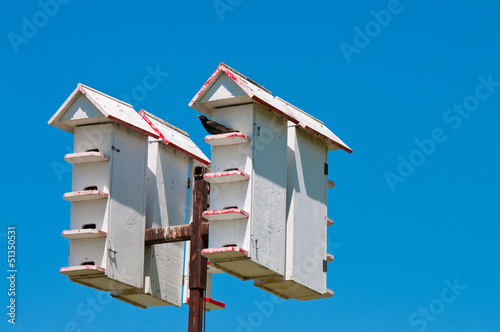 Up-close shot of bird houses
