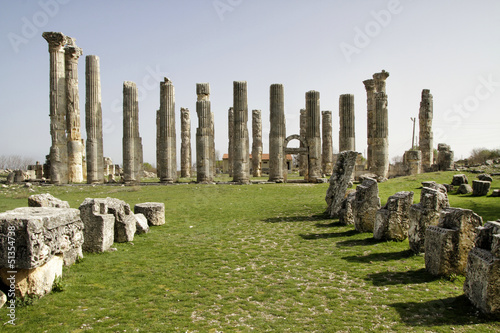 Temple of Zeus, in Uzuncaburc  Olba , Mersin - Turkey photo