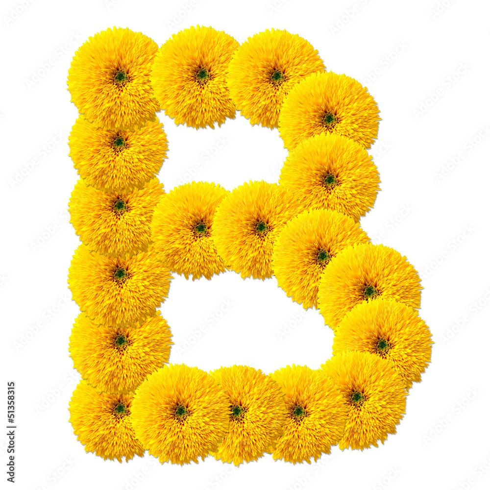 letter of the alphabet of flowers