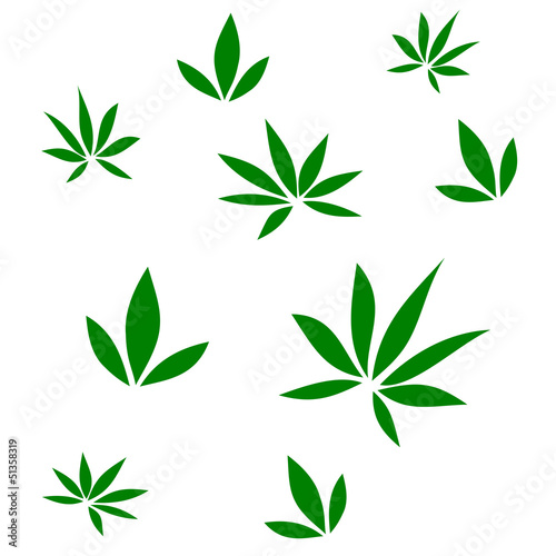 set of green lily or cannabis