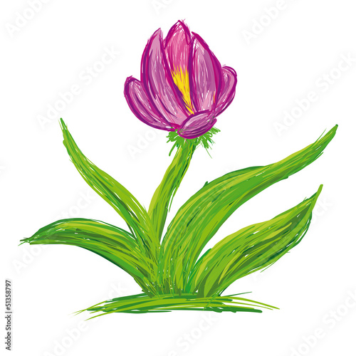 Beautiful tulip painted with white background