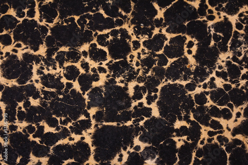 texture of cardboard