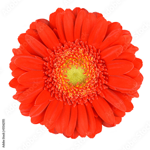 Fototapeta Naklejka Na Ścianę i Meble -  Perfect Orange Gerbera Flower Isolated on White