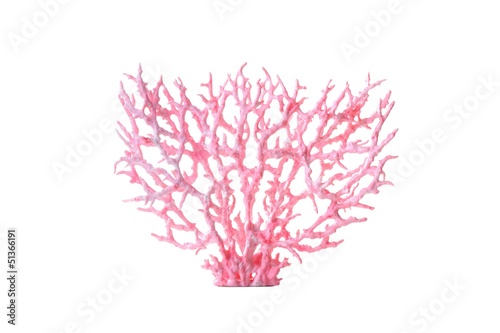 Tablou canvas Coral
