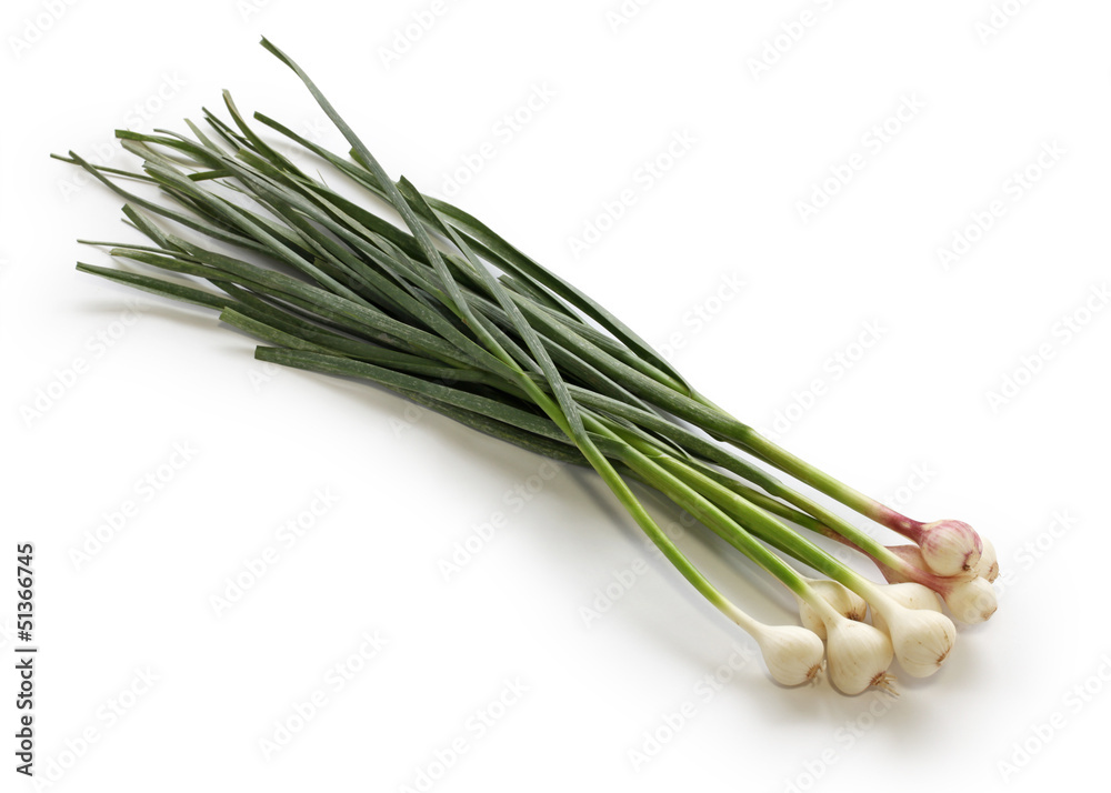 garlic leaves