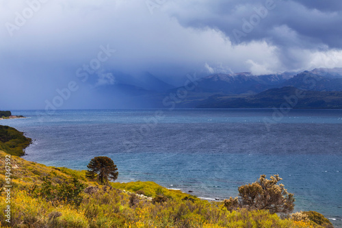 National park Lanin, Patagonia, Argentina © sunsinger