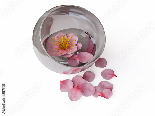 Cherry Flowers in Vase in 3D