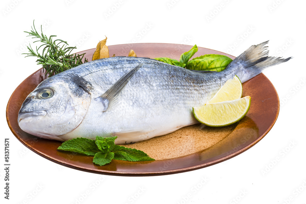 Fresh raw dorada Fresh raw dorada