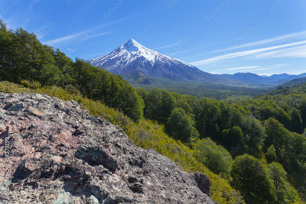 Fototapeta premium National park Lanin, Patagonia, Argentina