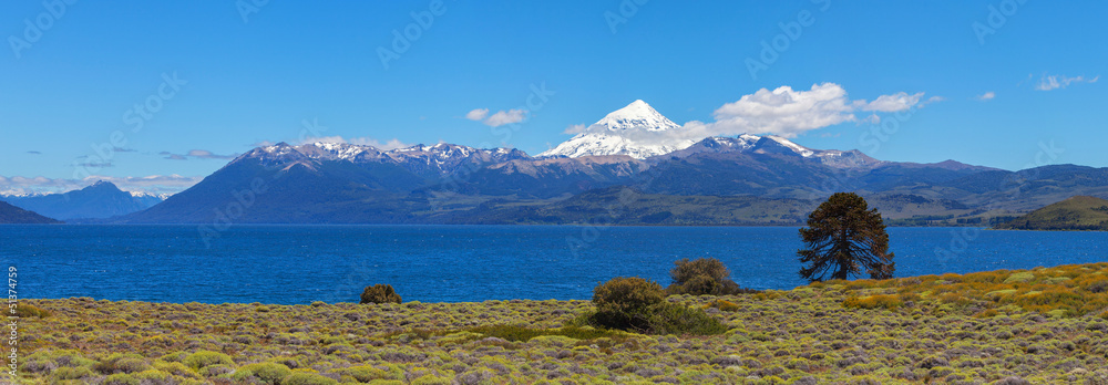 Obraz premium Lanin volcano, Patagonia, Argentina