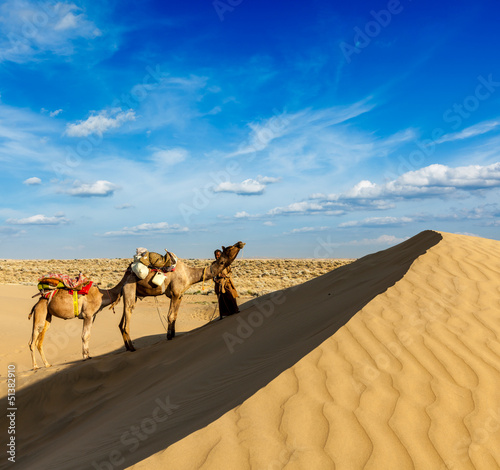 Cameleer  camel driver  with camels in dunes of Thar desert. Raj