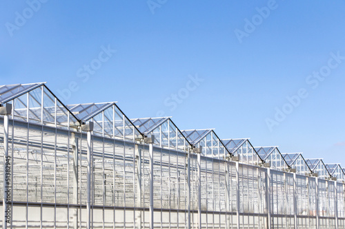 Green house with blue sky © HildaWeges