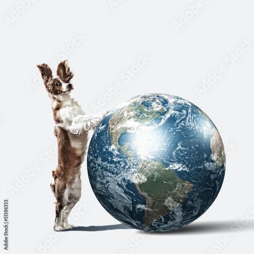 Fototapeta Naklejka Na Ścianę i Meble -  Dog with the Earth.