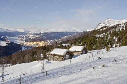 winter landscape in moonlight