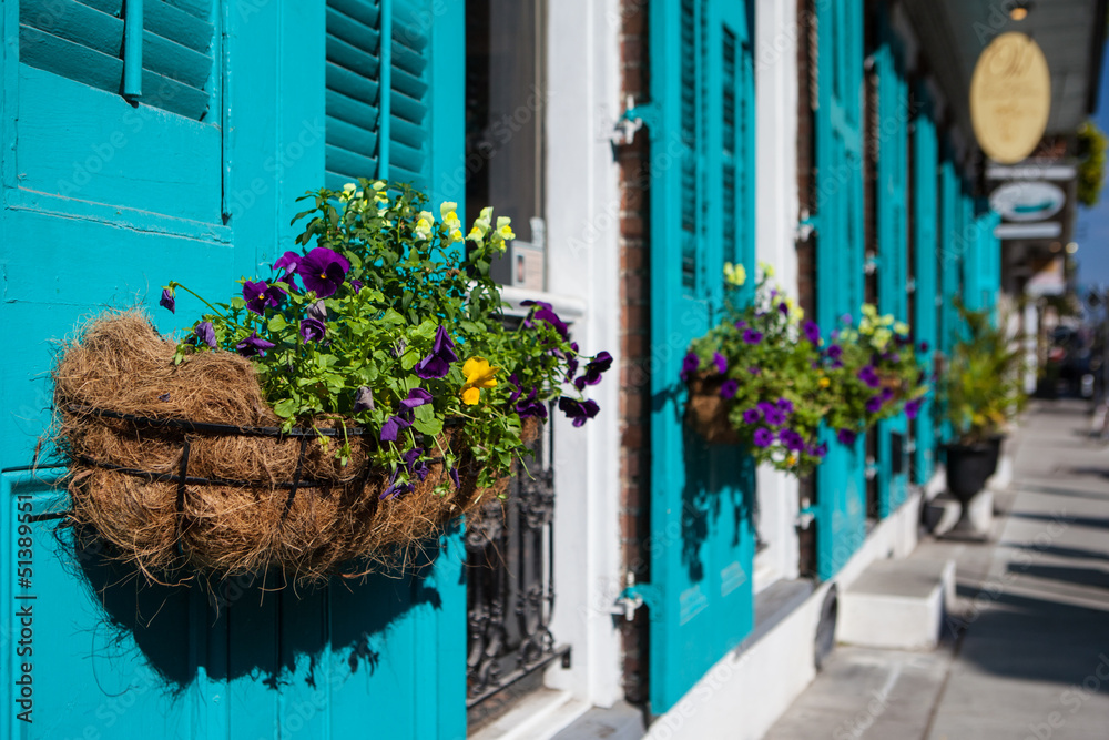 Fototapeta premium New Orleans Flowers