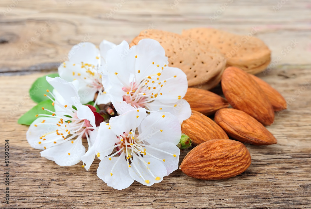 Almonds with leaves and flowers Almonds with leaves and flowers