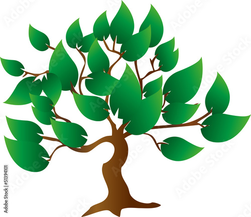 Baum, Blätter, Bio, Eco