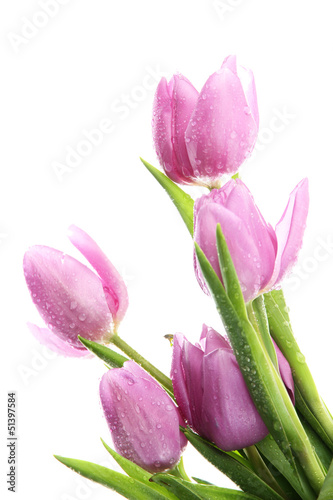 Fototapeta Naklejka Na Ścianę i Meble -  Beautiful bouquet of purple tulips, isolated on white