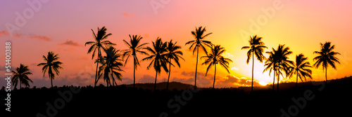 Lignée de cocotiers au coucher de soleil - Ile de la Réunion photo