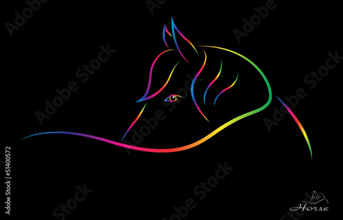 Vector image of a horse on a black background