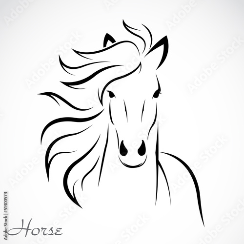 Vector of a horse on white background. Farm Animal. Cows logos or icons. Easy editable layered vector illustration.