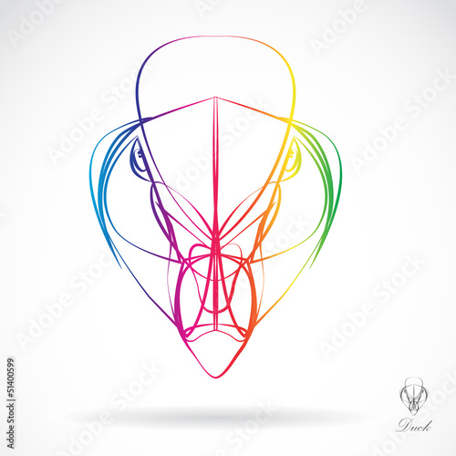 Head of Mandarin Duck beautifully designed half - vector