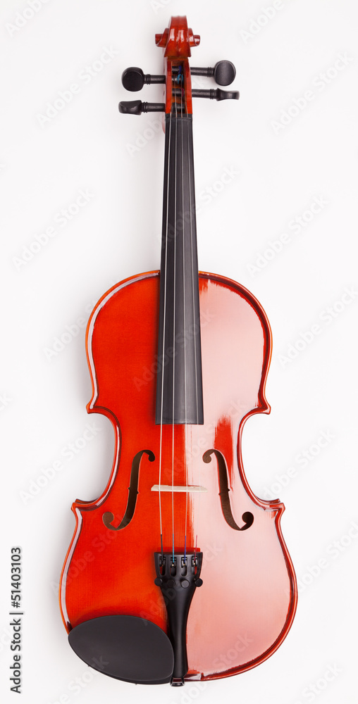 Naklejka premium Violin