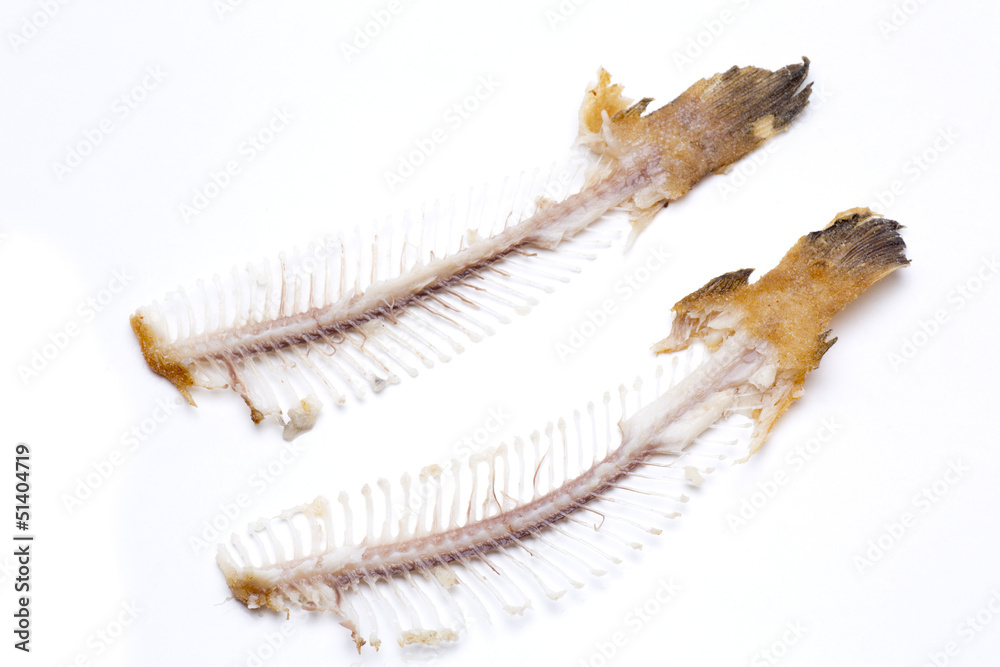 two fishbone sole