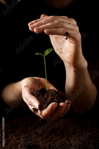 Hands with plant