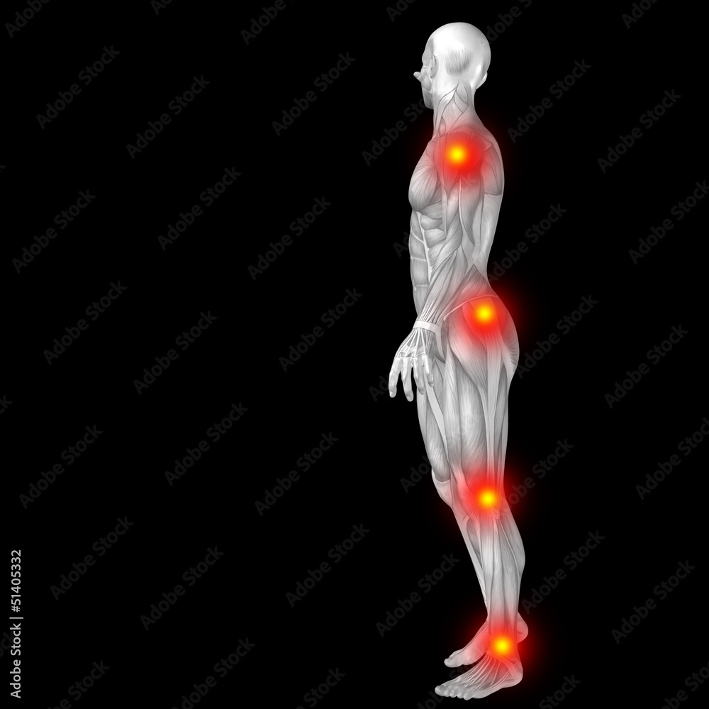 Obraz premium High resolution conceptual 3D human anatomy body with pain