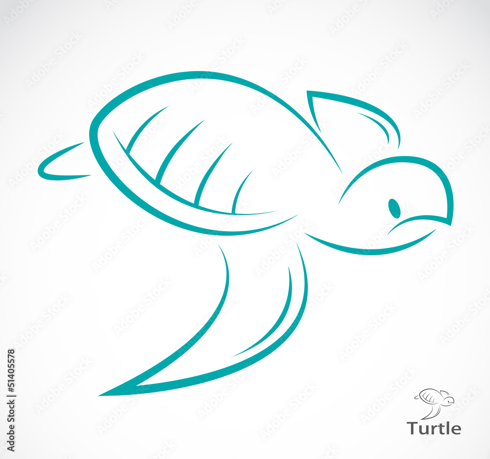 Vector image of an turtle on white background Vector image of an turtle on white background