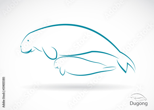 Vector image of an dugong on white background photo