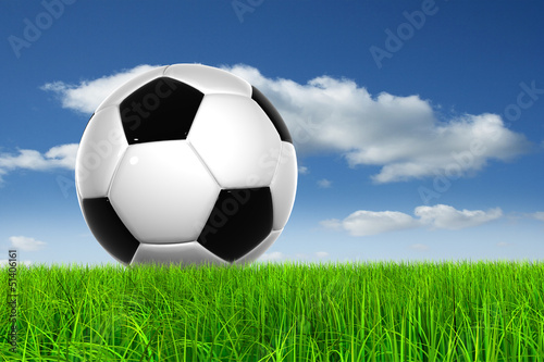 Conceptual soccer ball in grass © high_resolution