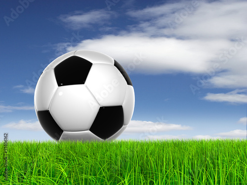 Conceptual soccer ball in grass © high_resolution