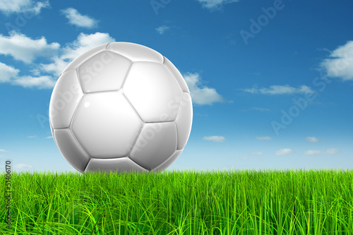 Conceptual soccer ball in grass