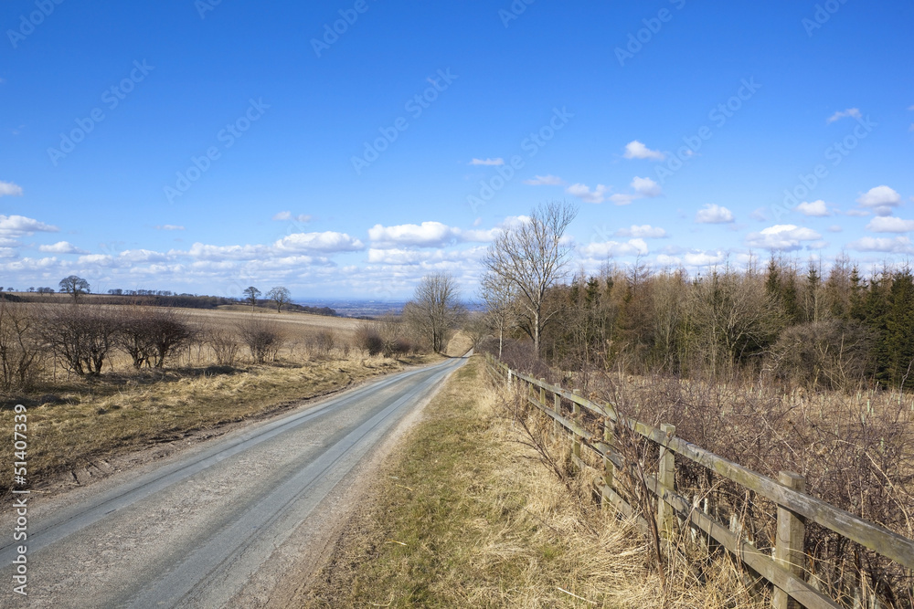 springtime country road