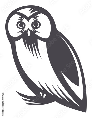 Boreal Owl