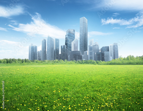 Fototapeta Naklejka Na Ścianę i Meble -  field of spring flowers and modern city