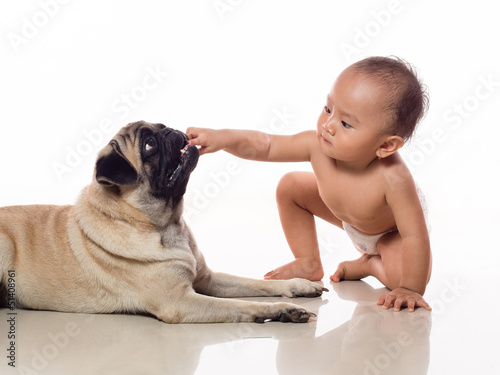 baby put hand in doggy mouth