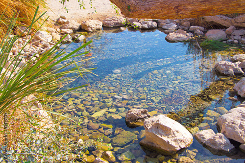 wellspring near the Dead Sea in Ein Gedi