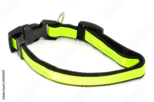 Collar fluorescente para mascotas photo