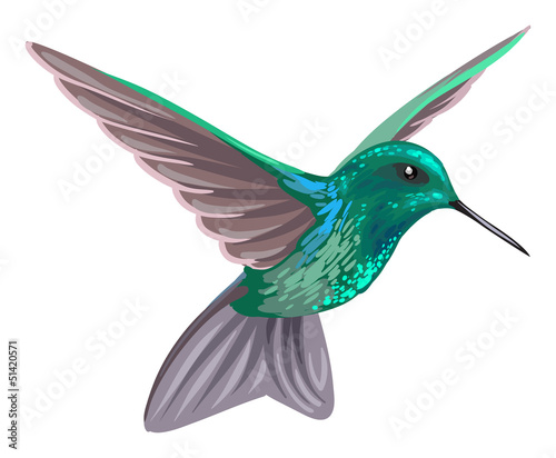 Hummingbird