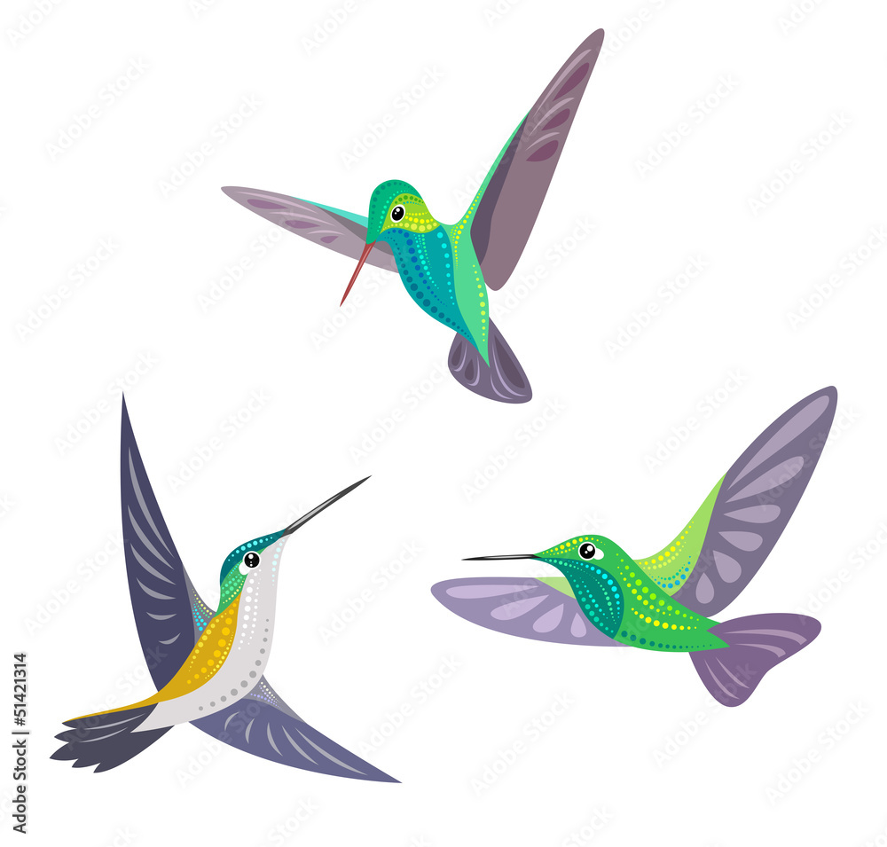 Fototapeta premium Hummingbirds