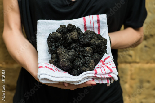 biggest black truffle dordogne perigord France