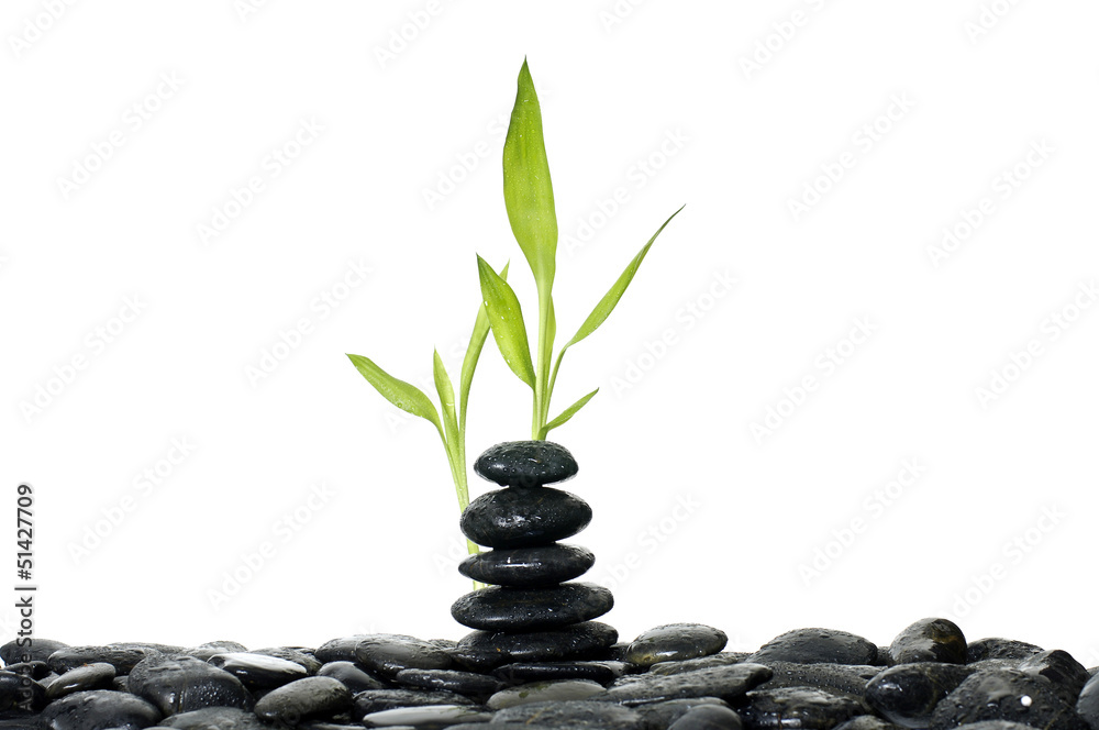 Still life with stacked stones and green bamboo plant Still life with stacked stones and green bamboo plant