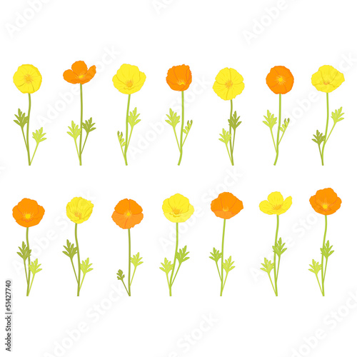 Fototapeta Naklejka Na Ścianę i Meble -  flowers