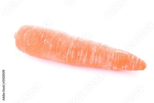 Carrot