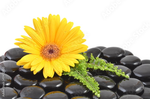 Spa stones and yellow flower